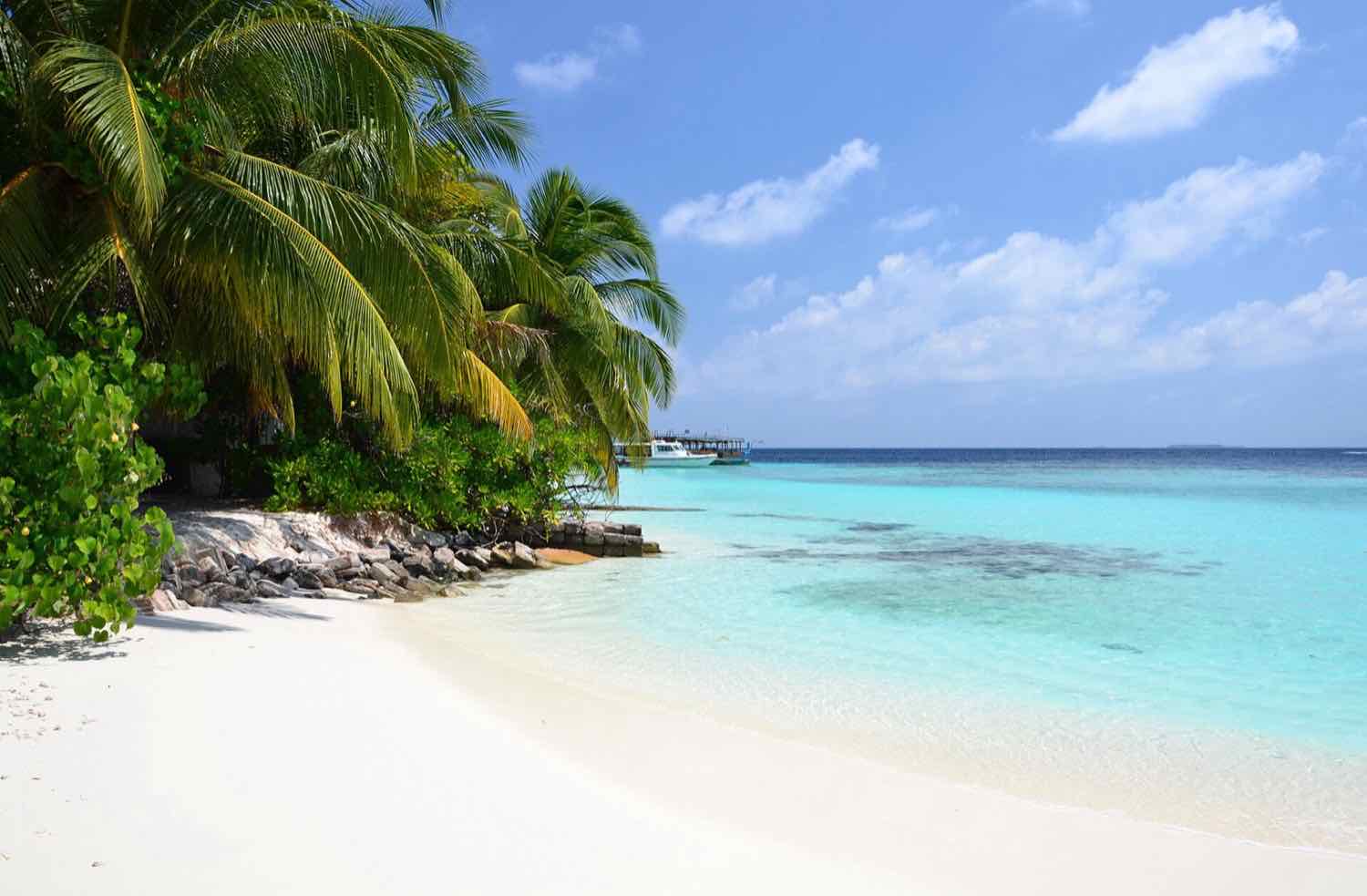 Palms and the shoreline at Bathala Island, North Ari Atoll
